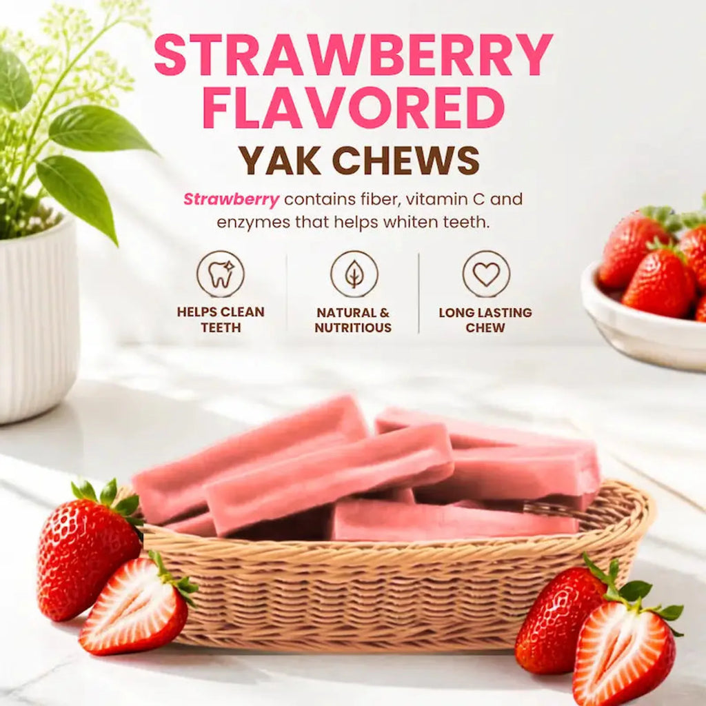 Flavored Himalayan Yak Dog Chews product image 3