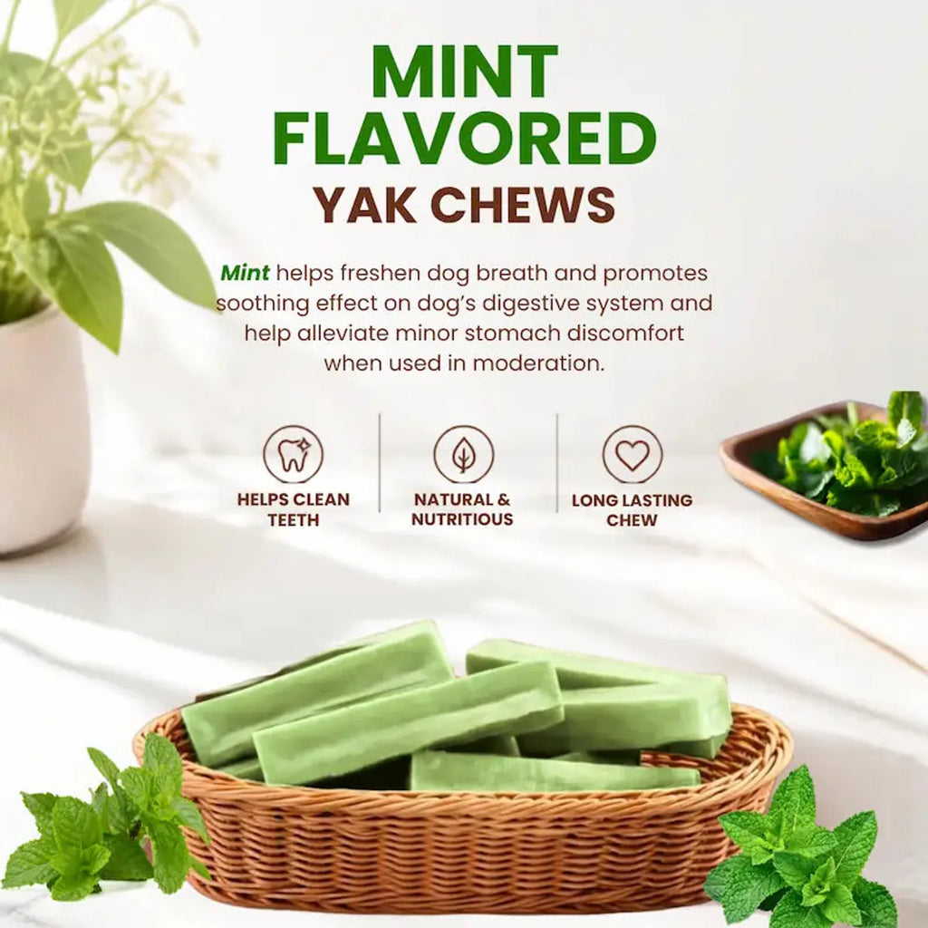 Flavored Himalayan Yak Dog Chews product image 6