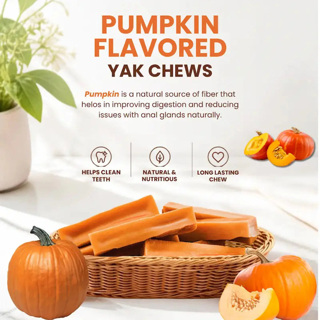 Flavored Himalayan Yak Dog Chews product image 7