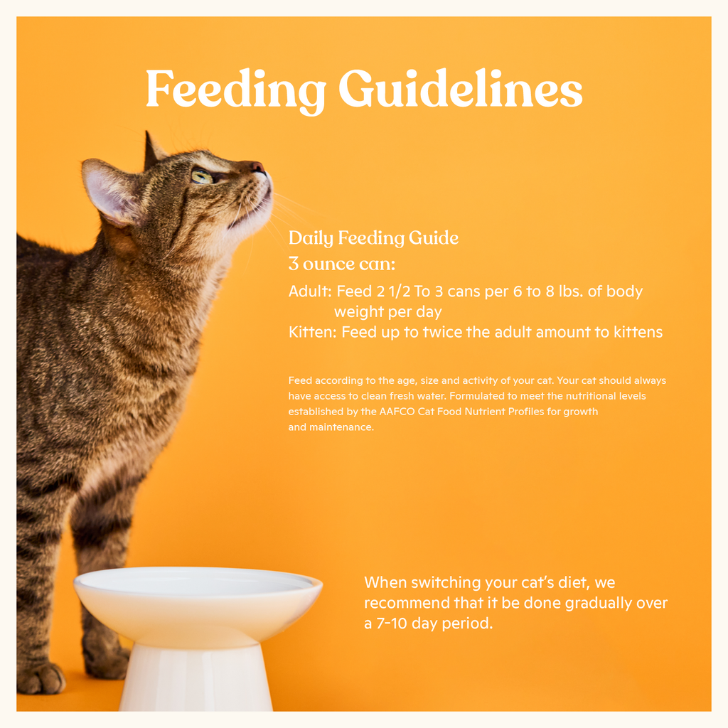 Flaked Tuna and Bonito Wet Cat Food product image 6