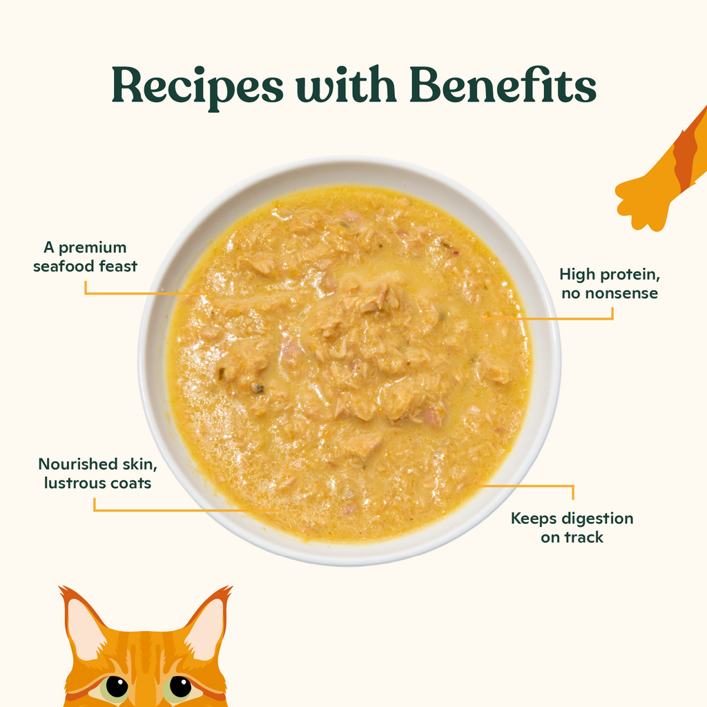 Wet Cat Food product image 3