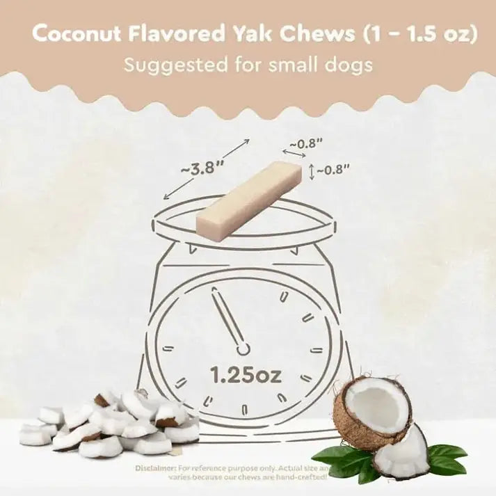 Coconut Himalayan Yak Chew small size — perfect for dogs under 25 lbs