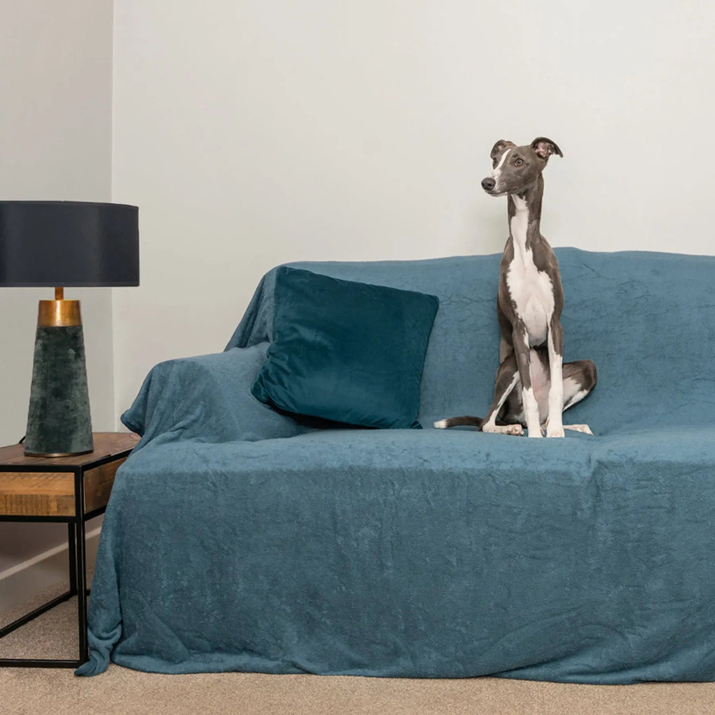 Dog Sofa Throw product image 1