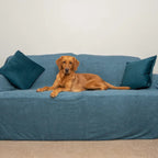Dog Sofa Throw product image 2