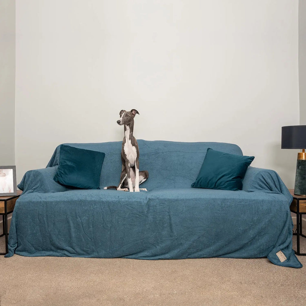 Dog Sofa Throw product image 3