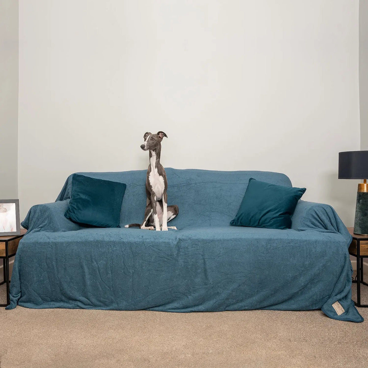 Dog Sofa Throw product image 3
