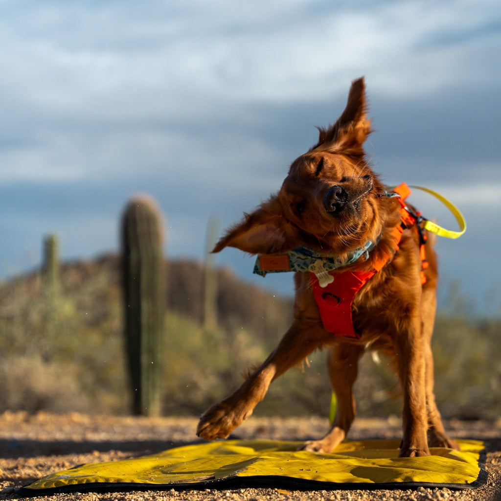 Dog Settle Mat product image 8