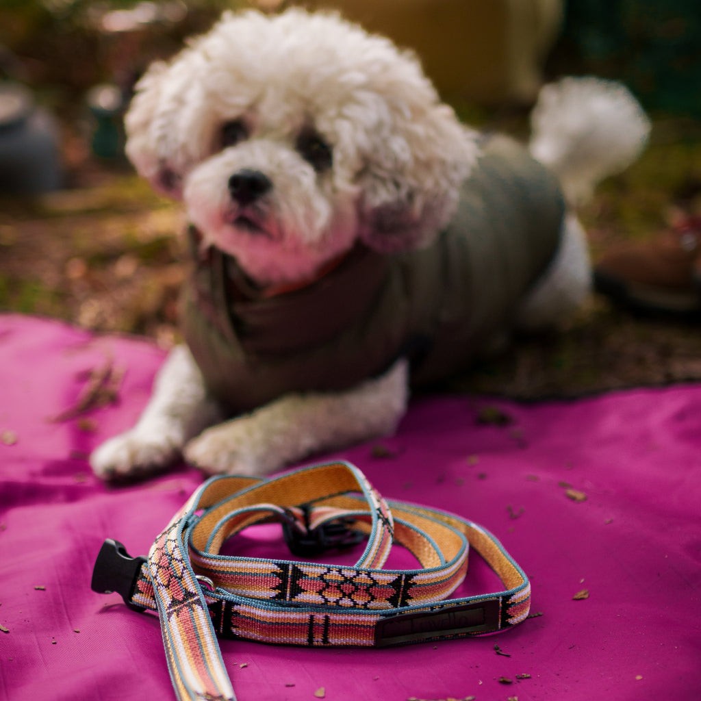 Dog Settle Mat product image 13