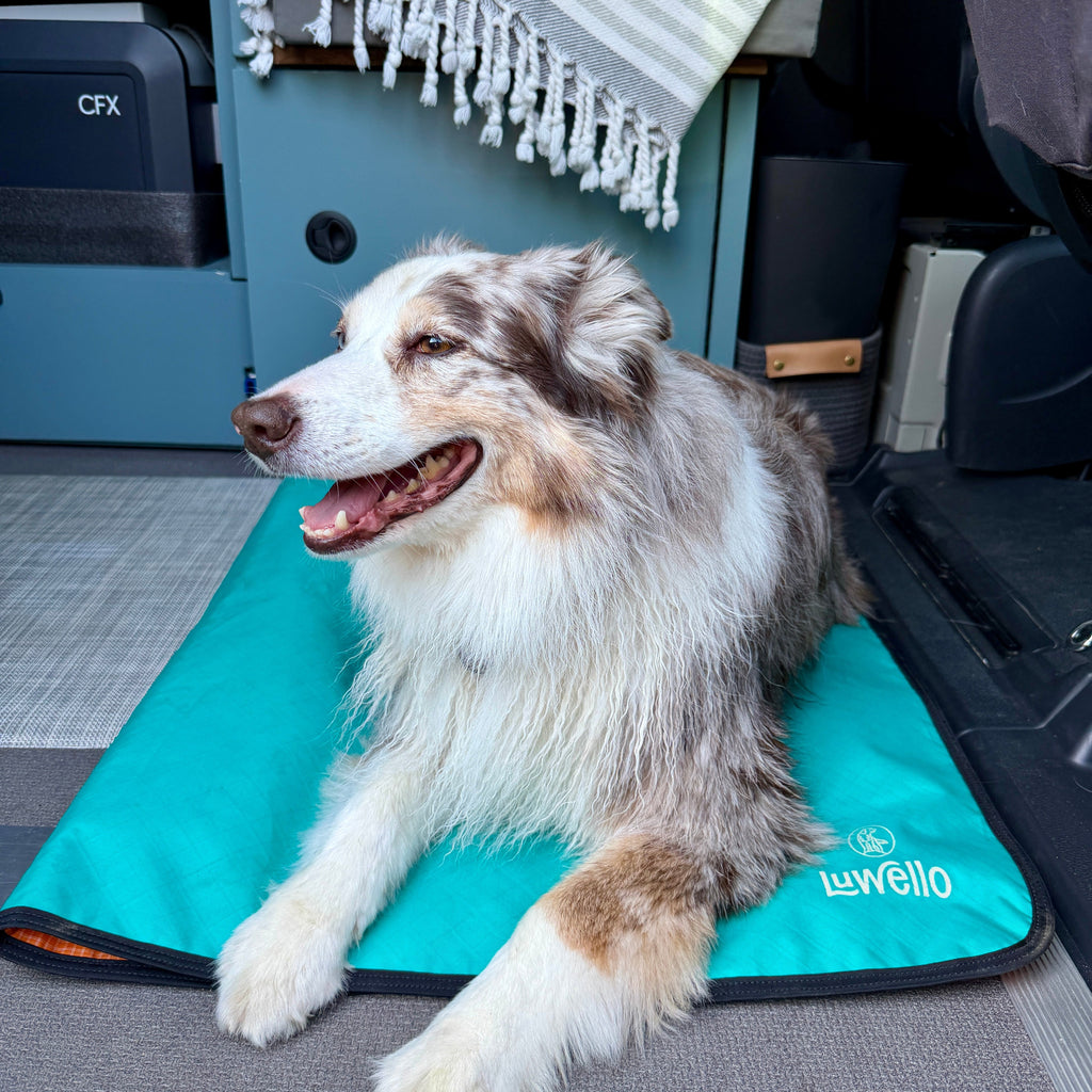 Dog Settle Mat product image 14