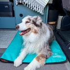 Dog Settle Mat product image 14