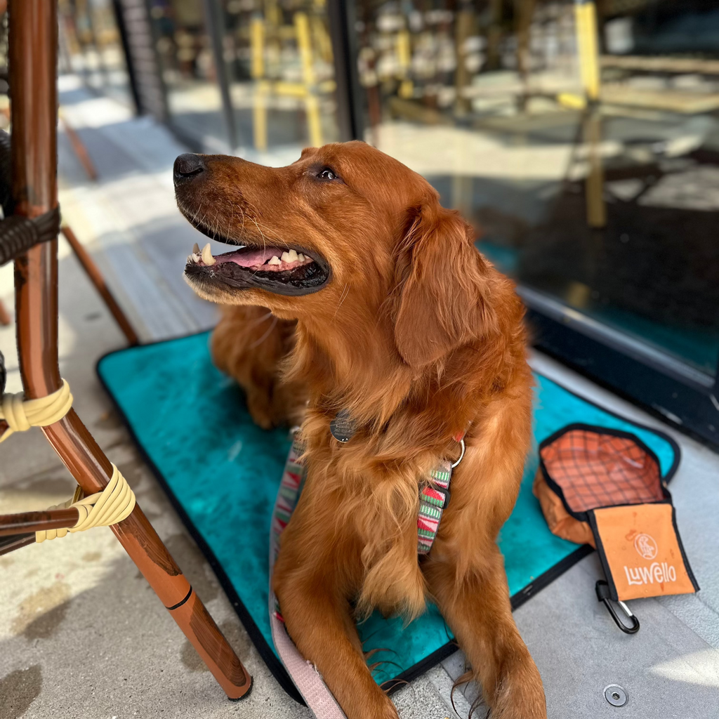 Dog Settle Mat product image 15