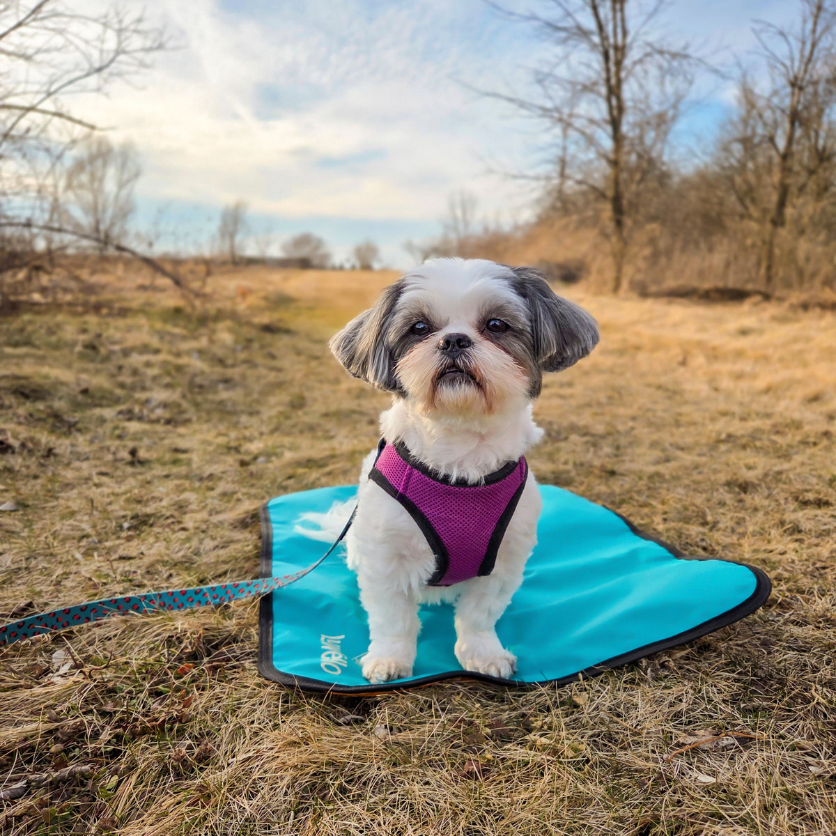 Dog Settle Mat product image 16