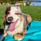 Dog Settle Mat product image 19