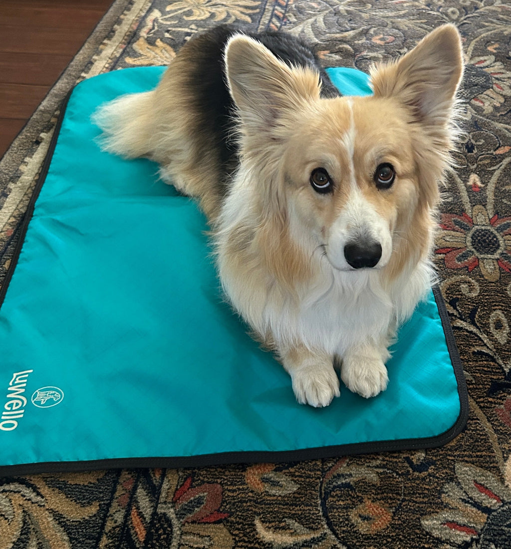 Dog Settle Mat product image 20