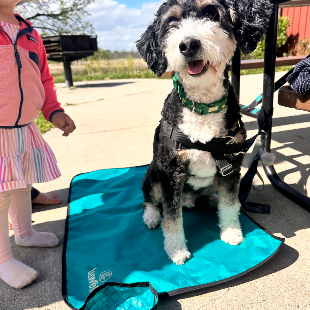 Dog Settle Mat product image 21