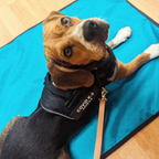 Dog Settle Mat product image 22
