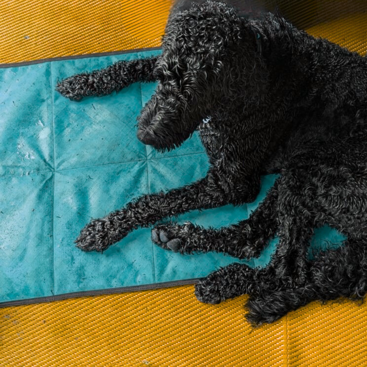 Dog Settle Mat product image 23