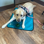 Dog Settle Mat product image 25