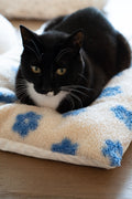 Cat Bed product image 1