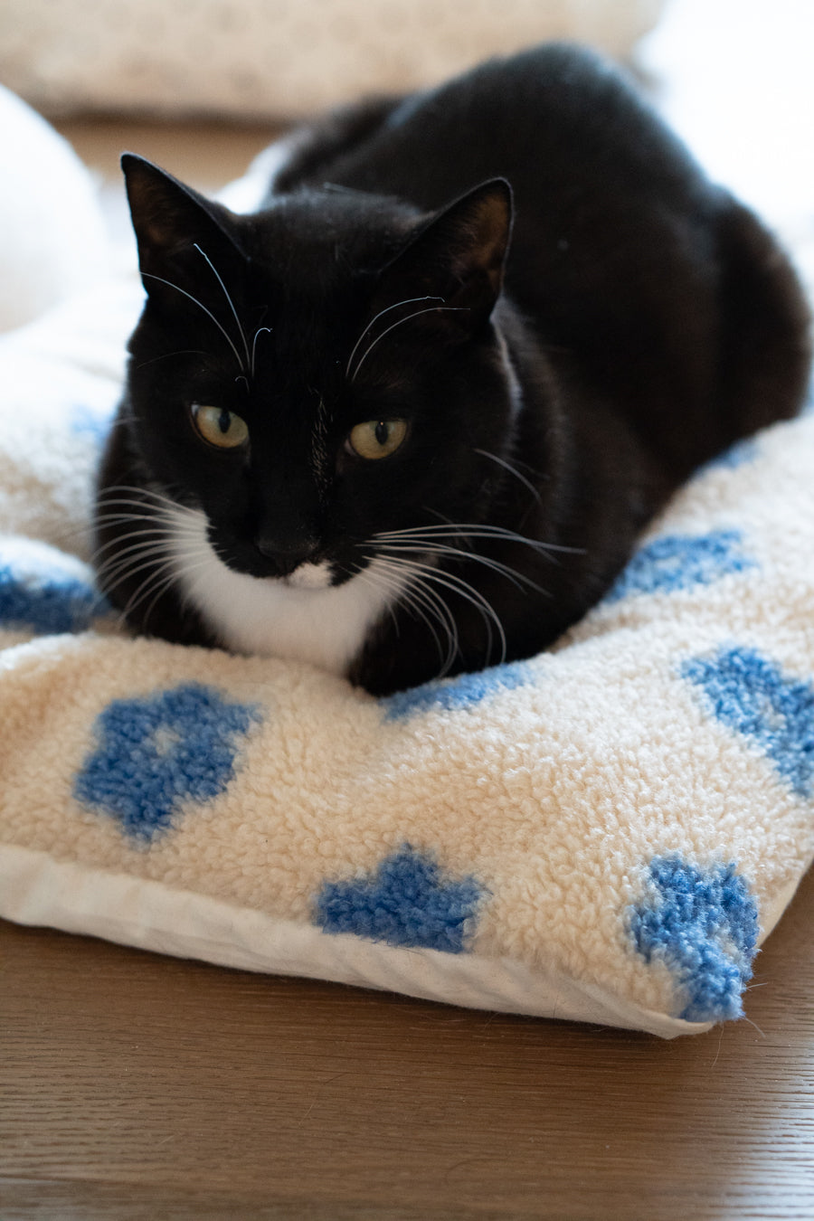 Cat Bed product image 1