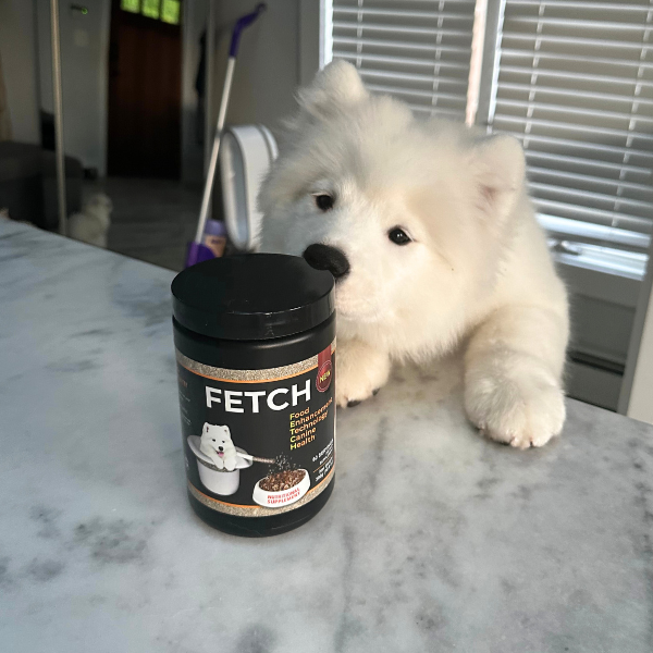 Dog Nutritional Supplement product image 7