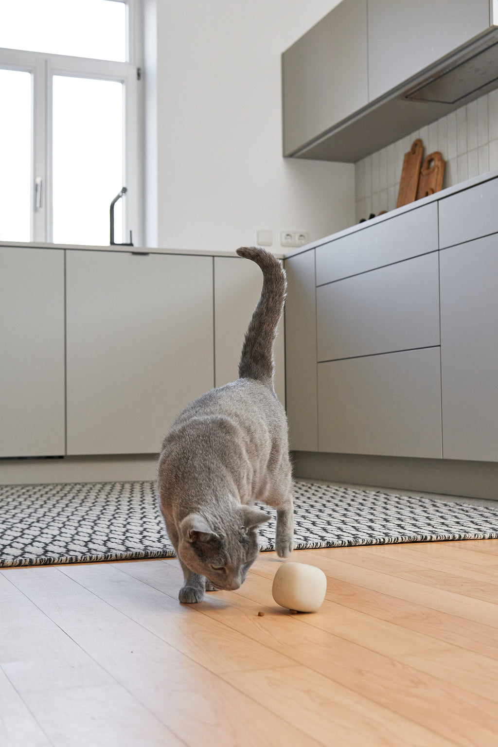 Cat Treat Dispenser product image 2