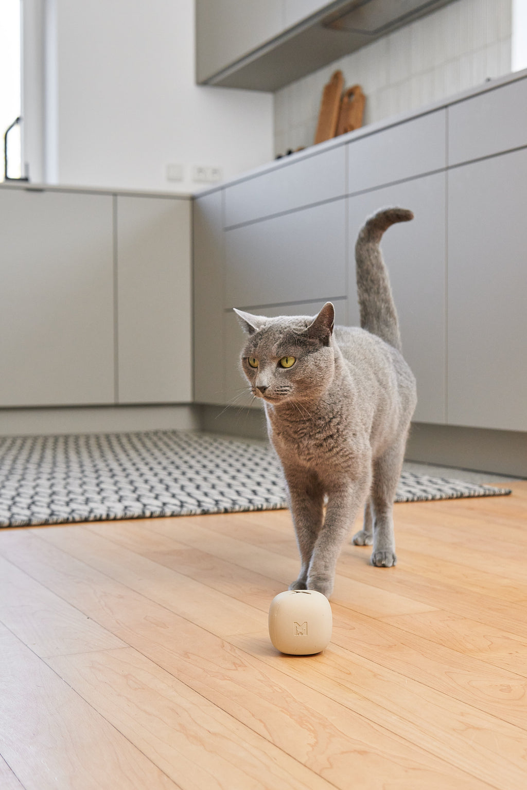 Cat Treat Dispenser product image 3