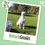 Bully Sticks product image 6
