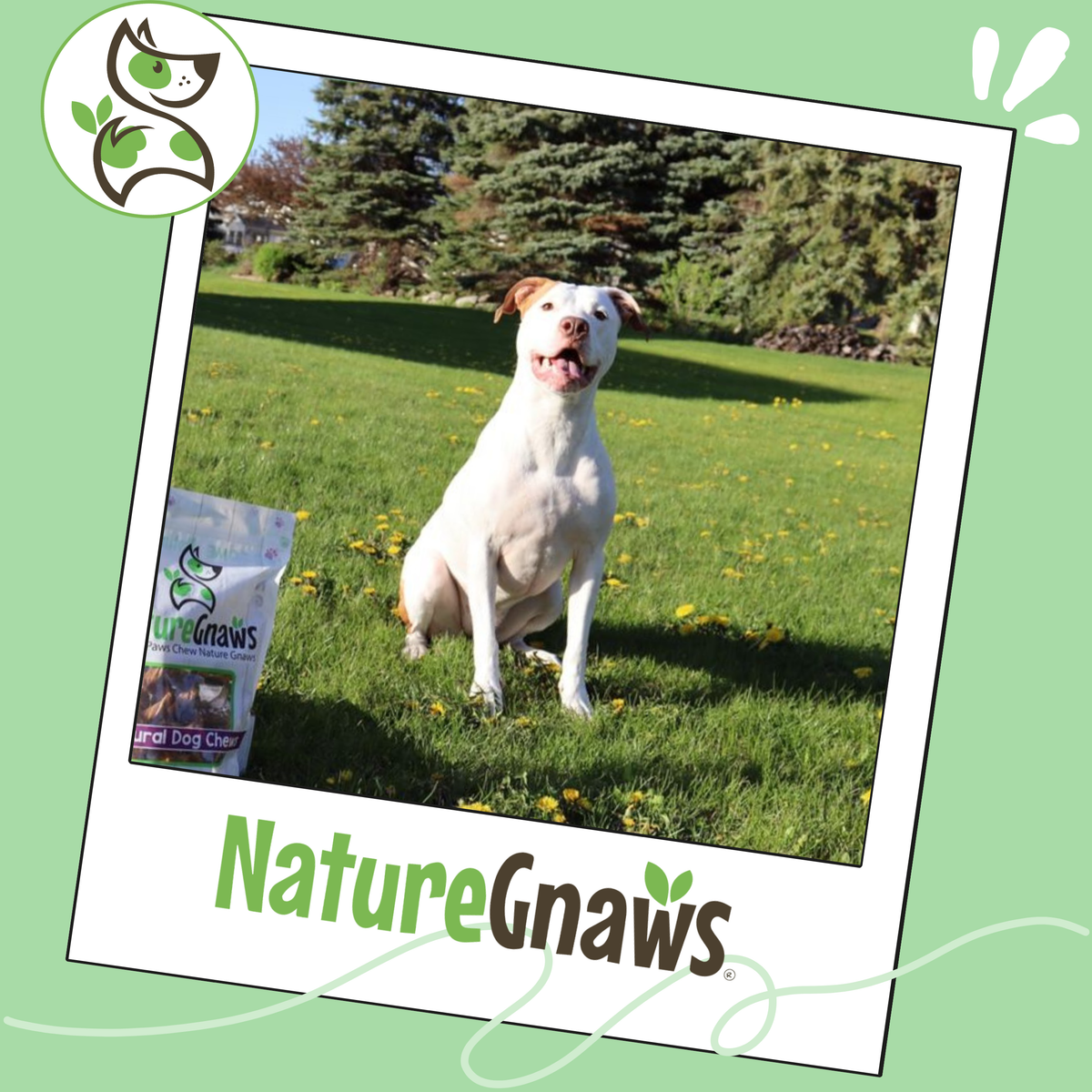 Bully Sticks product image 6