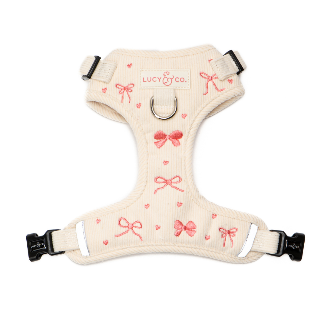 No-Pull Dog Harness product image 1