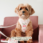 No-Pull Dog Harness product image 2