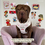 No-Pull Dog Harness product image 3