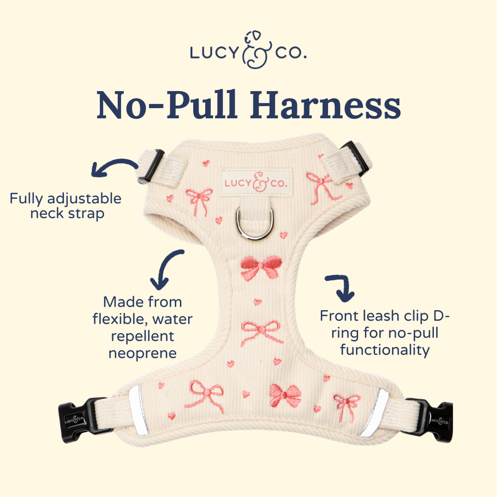 No-Pull Dog Harness product image 5