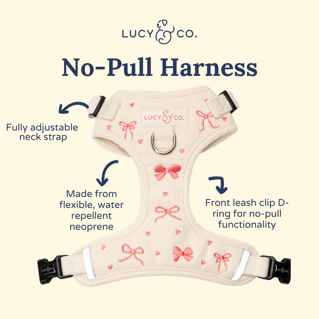 No-Pull Dog Harness product image 5