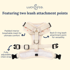 No-Pull Dog Harness product image 6