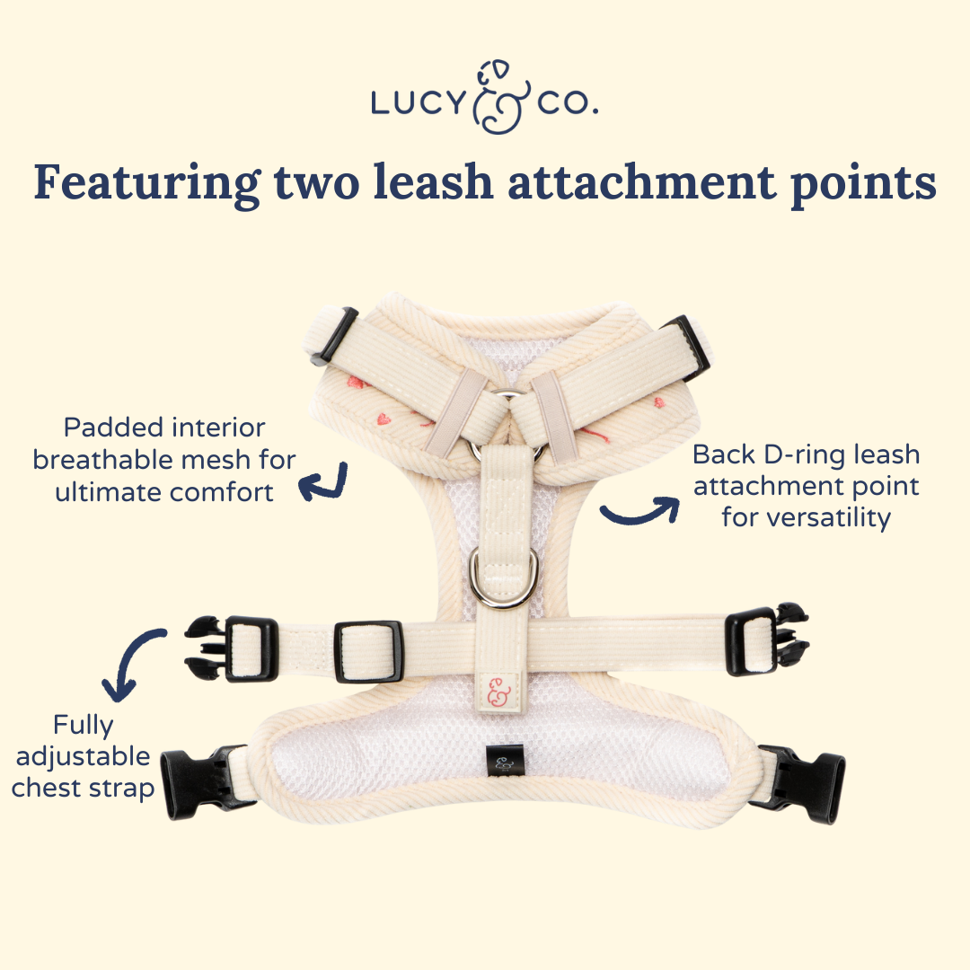 No-Pull Dog Harness product image 6