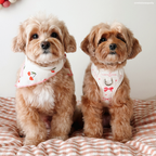 No-Pull Dog Harness product image 8