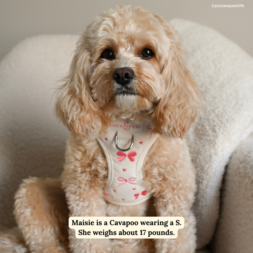 No-Pull Dog Harness product image 9