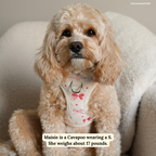 No-Pull Dog Harness product image 9