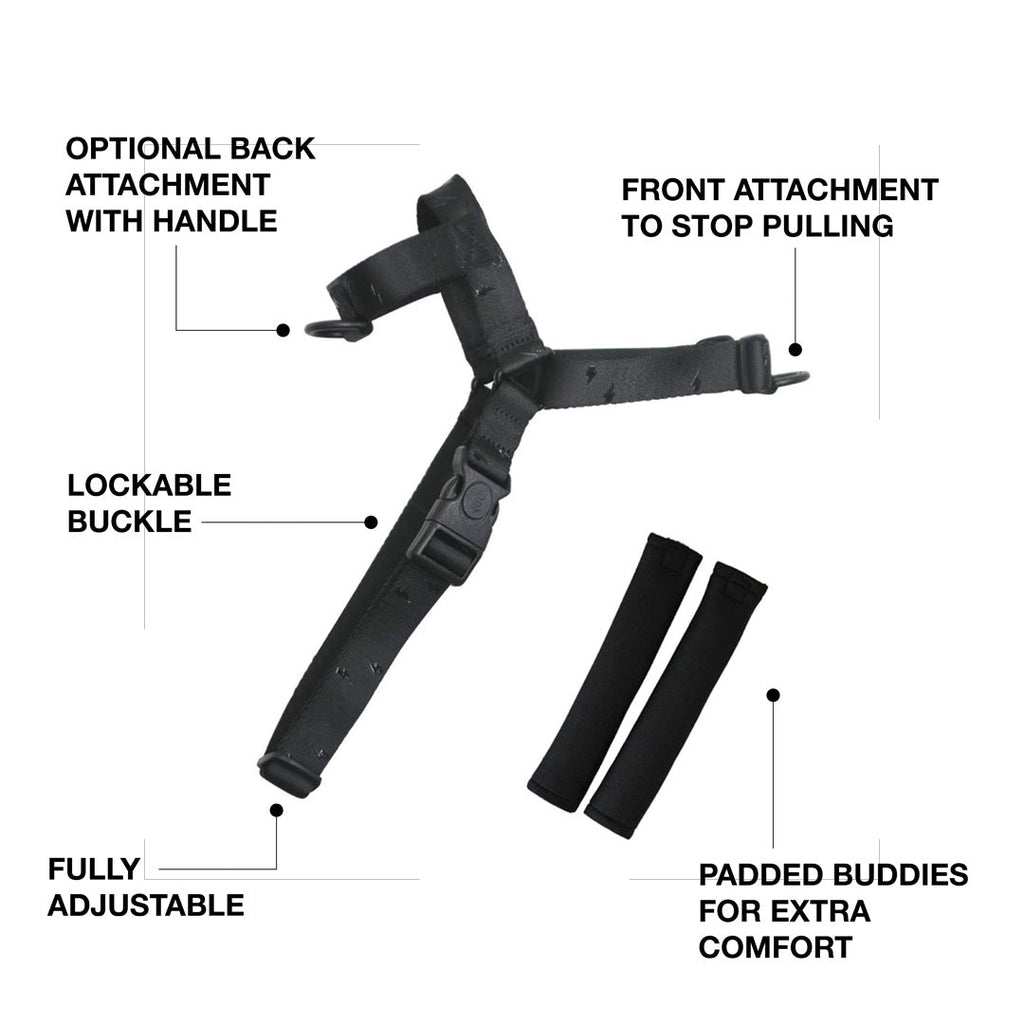 No-Pull Training Harness product image 2