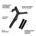 No-Pull Training Harness product image 2