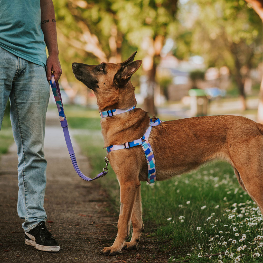 No-Pull Training Harness product image 18