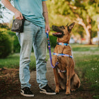No-Pull Training Harness product image 20
