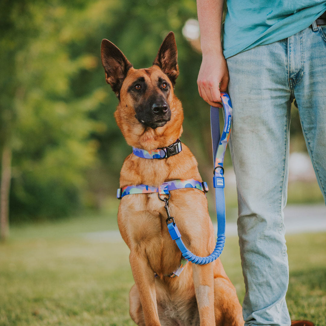No-Pull Training Harness product image 21