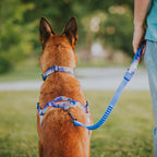 No-Pull Training Harness product image 22