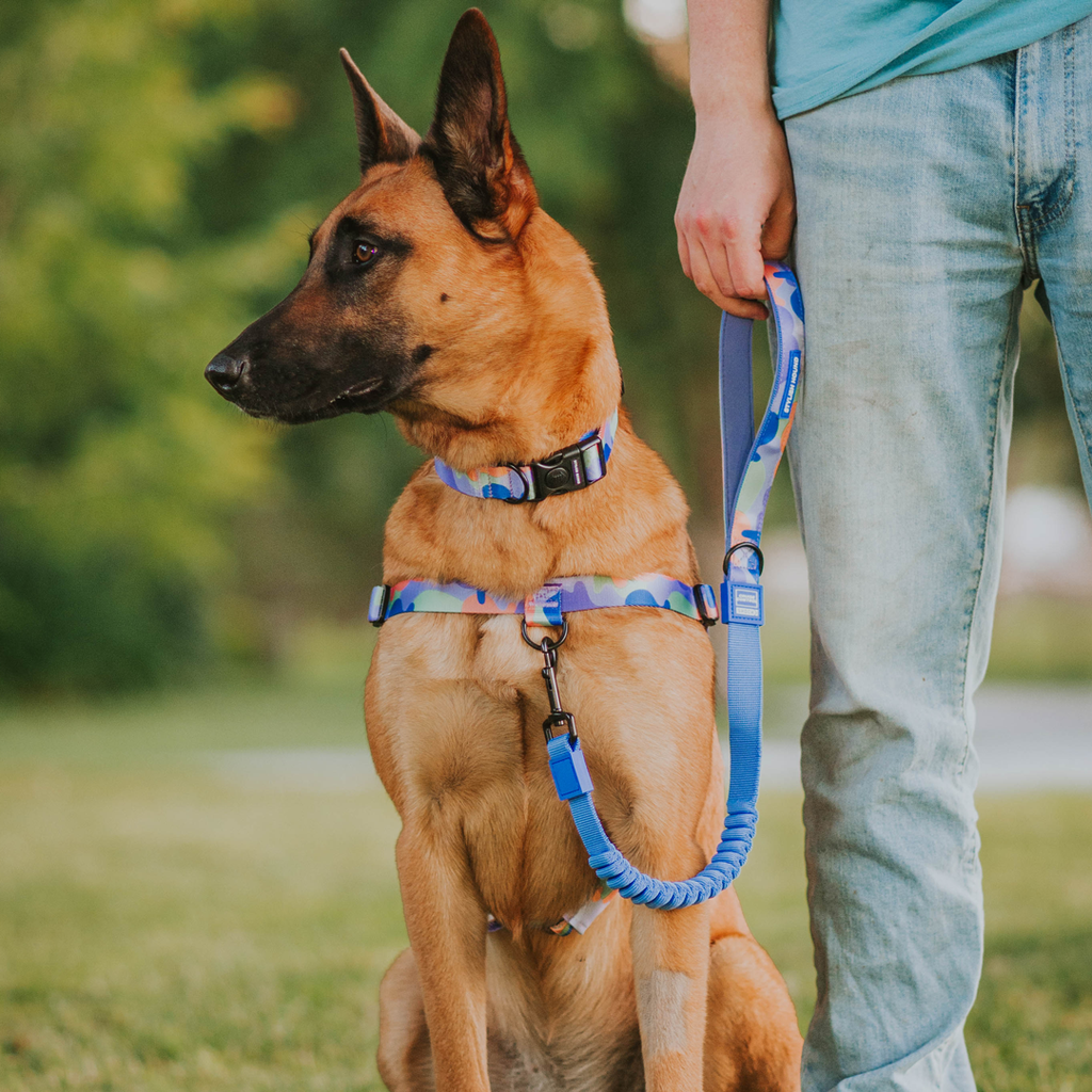 No-Pull Training Harness product image 23