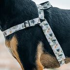 No-Pull Training Harness product image 27