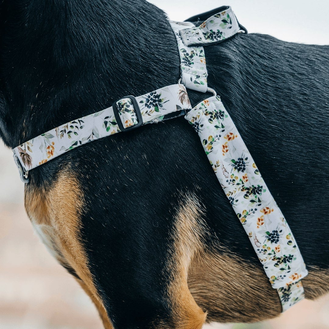 No-Pull Training Harness product image 27