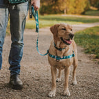 No-Pull Training Harness product image 34