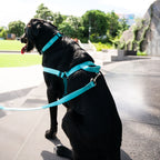 No-Pull Training Harness product image 38